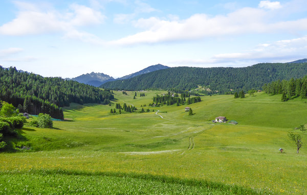 Ferienwohnung - Racines/Ratschings , Italien - IDD431 6