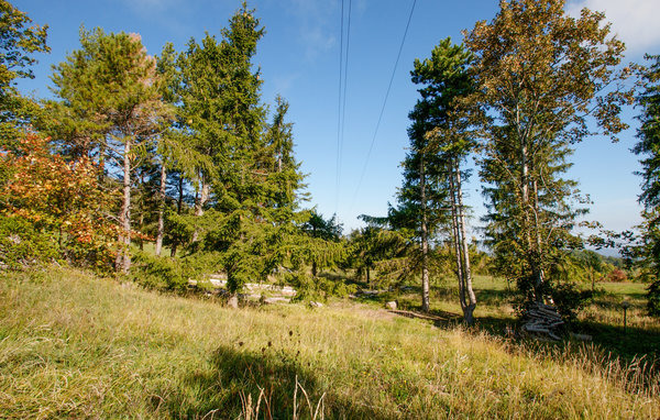 Holiday Home - Montecopiolo , Italy - IEC235 902