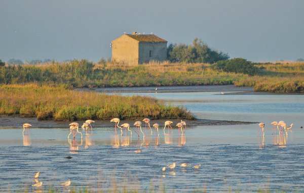 Holiday Home - Lido delle Nazioni , Italy - IEK152 904