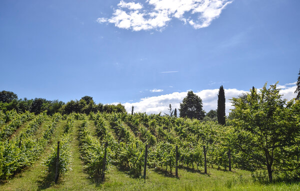 Apartament - Sacile , Wlochy - IFC005 7