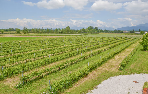 Domy wakacyjne - Cividale del Friuli , Wlochy - IFC169 901
