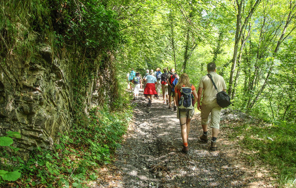 Domy wakacyjne - Cividale del Friuli , Wlochy - IFC169 904