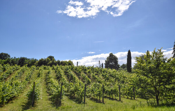 Semesterlägenhet - San Giorgio di Nogaro , Italien - IFK003 6