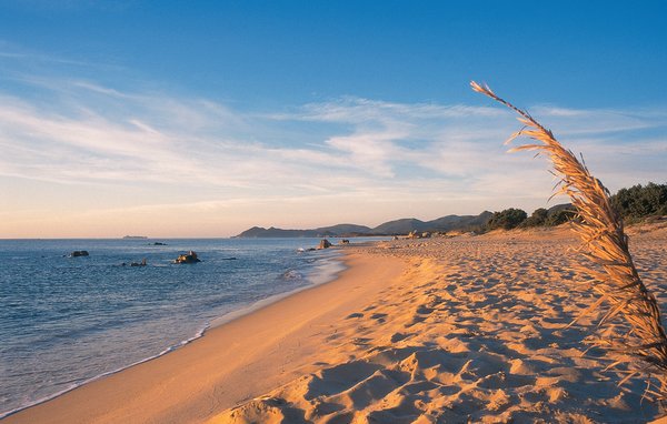 Domy wakacyjne - Costa Rei , Wlochy - IGC002 902