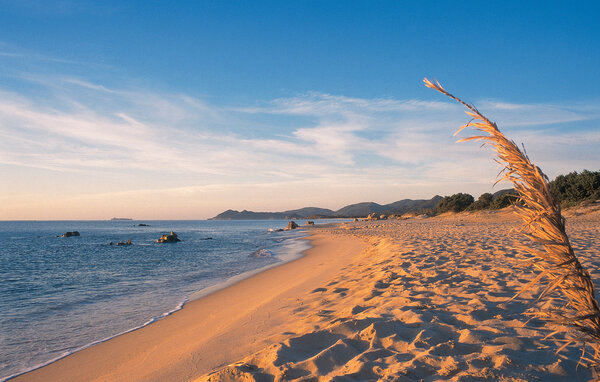 Lejlighed - Costa Rei , Italien - IGC171 903