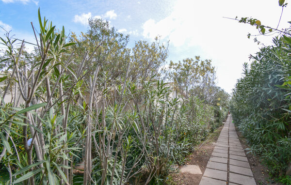 Ferienwohnung - Costa Rei , Italien - IGC174 81