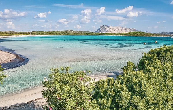 Appartamento - Marina di Sorso , Italia - IGG080 903