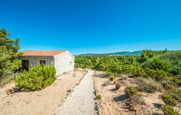 Appartement - Badesi , Italië - IGG164 102