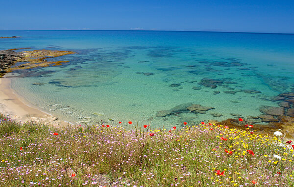 Apartamento - Via Marina di Sorso , Italia - IGG214 901