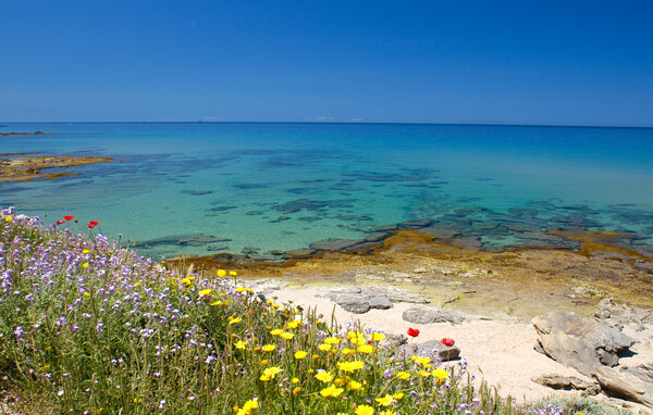 Apartamento - Via Marina di Sorso , Italia - IGG214 902