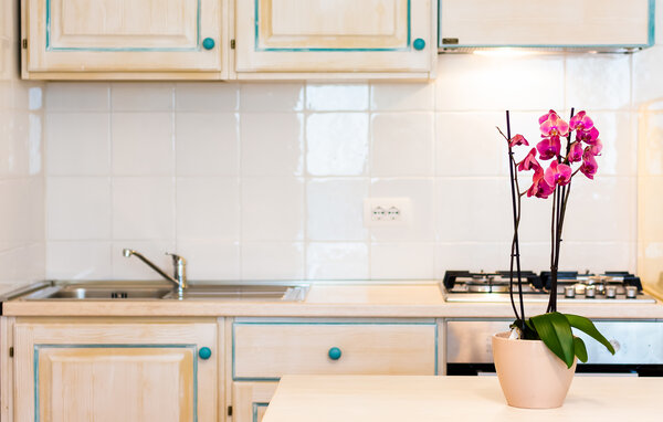 Ferienwohnung - Orosei , Italien - IGN043 402