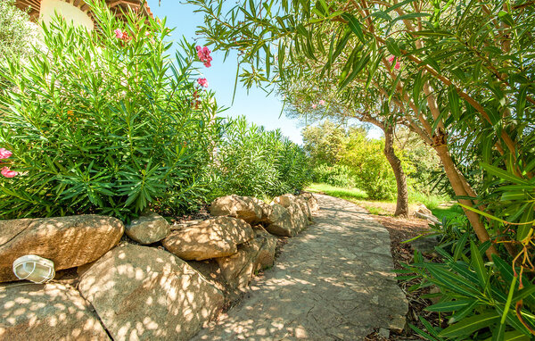 Appartement - Golfo Aranci , Italie - IGS128 101