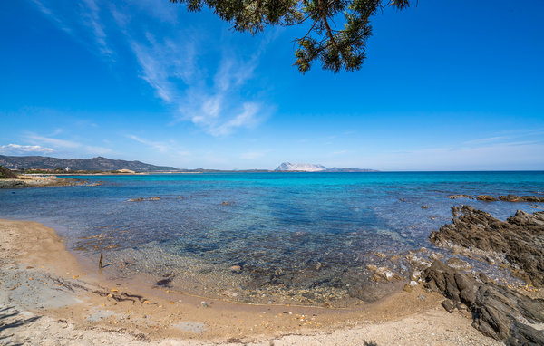 Apartament - San Teodoro , Wlochy - IGS342 902