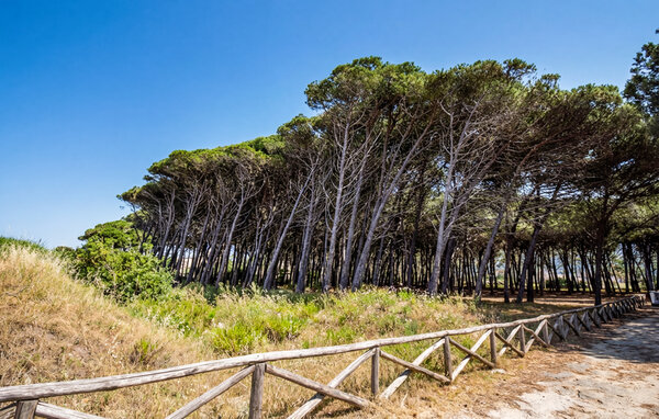 Feriehus - Pizzo Calabro , Italia - IKB017 901