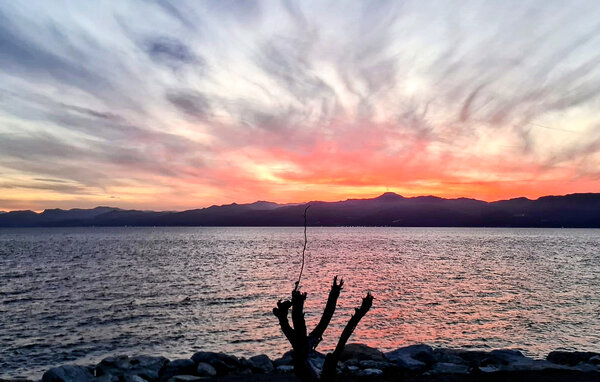 Ferienwohnung - Ricadi , Italien - IKB026 905