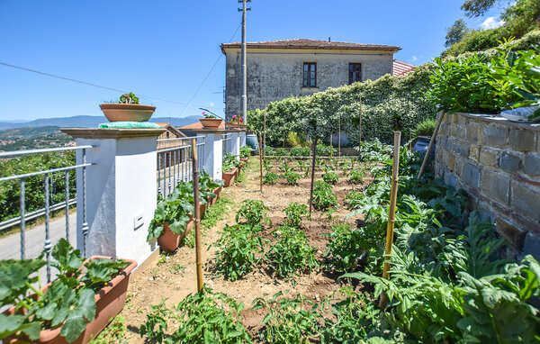 Ferienhaus - Laureana Cilento , Italien - IKC021 804