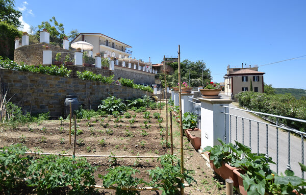 Ferienhaus - Laureana Cilento , Italien - IKC021 9