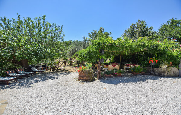 Domy wakacyjne - Laureana Cilento , Wlochy - IKC027 101