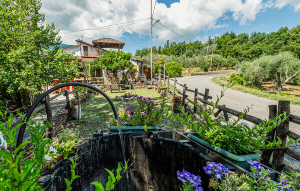 Semesterhus - Sessa Cilento , Italien - IKC036 104