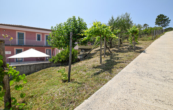 Casa vacanze - Ogliastro Cilento , Italia - IKC056 106