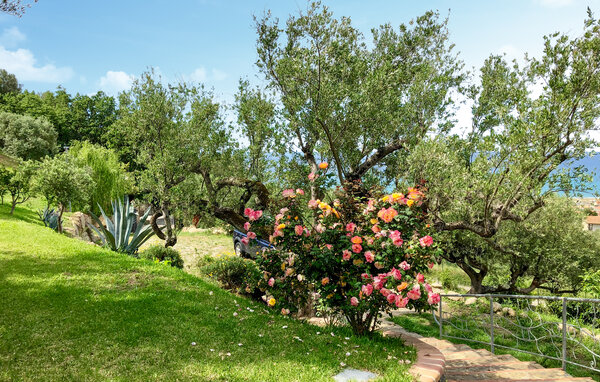Appartamento - Ascea , Italia - IKC069 105