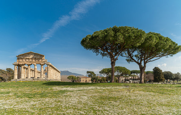 Feriebolig Villa dream