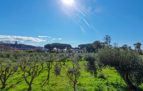 Appartamento - Casal Velino , Italia - IKC680 7