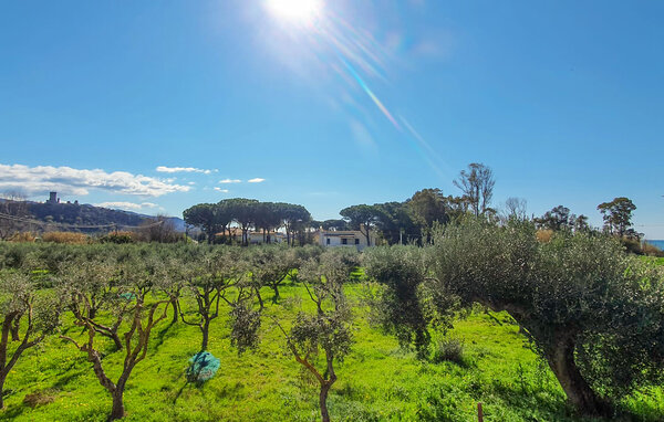 Ferienwohnung - Casal Velino , Italien - IKC681 201