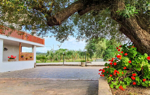 Appartamento - Casal Velino , Italia - IKC682 8