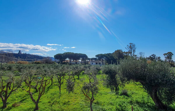 Appartamento - Casal Velino , Italia - IKC682 201