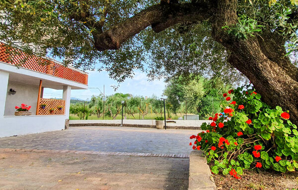 Appartamento - Casal Velino , Italia - IKC685 2