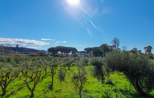 Appartamento - Casal Velino , Italia - IKC685 9