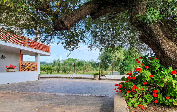 Ferieleilighet - Casal Velino , Italia - IKC686 102