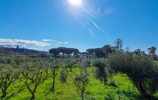 Ferieleilighet - Casal Velino , Italia - IKC686 201