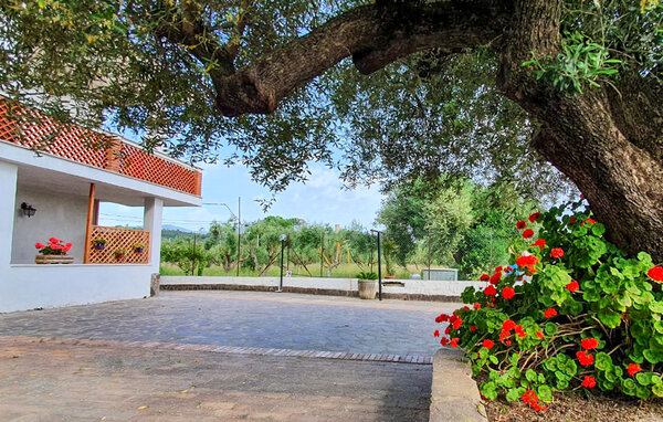 Appartamento - Casal Velino , Italia - IKC687 9