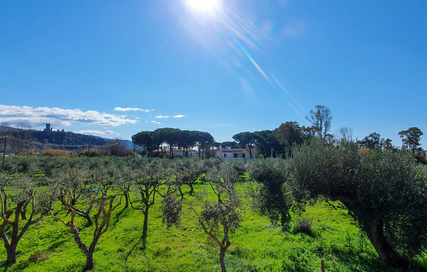 Appartamento - Casal Velino , Italia - IKC687 6