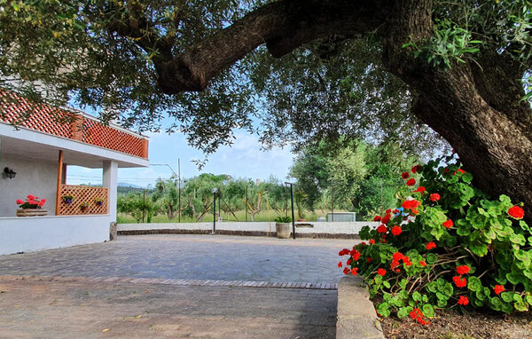 Appartamento - Casal Velino , Italia - IKC688 101