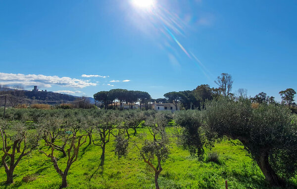 Appartamento - Casal Velino , Italia - IKC688 8