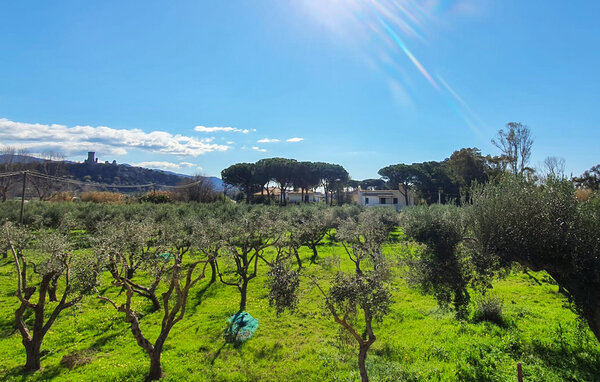 Appartamento - Casal Velino , Italia - IKC689 7