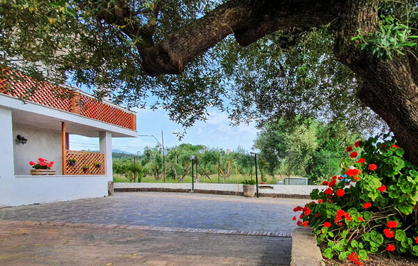 Appartamento - Casal Velino , Italia - IKC689 101