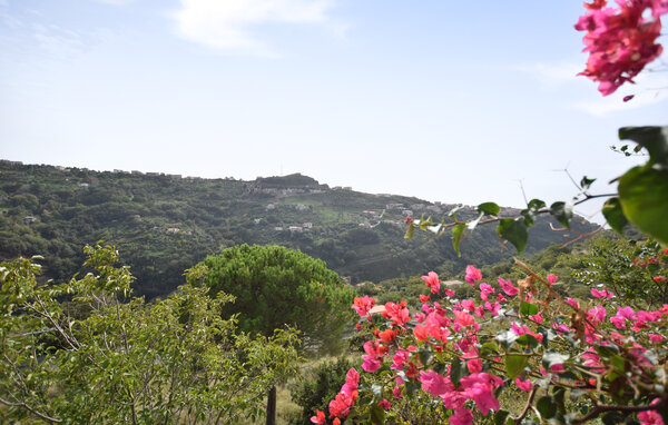 Domy wakacyjne - Cetraro , Wlochy - IKK090 201