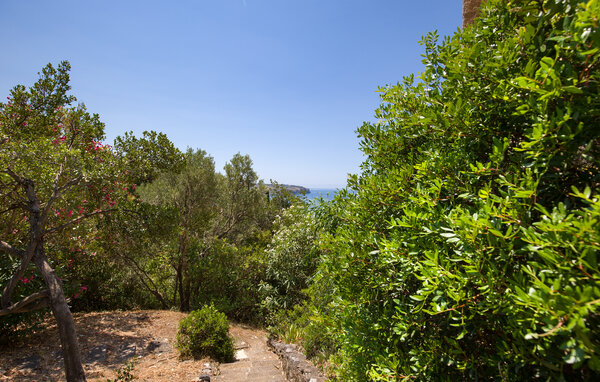 Semesterlägenhet - Praia a Mare , Italien - IKK215 202