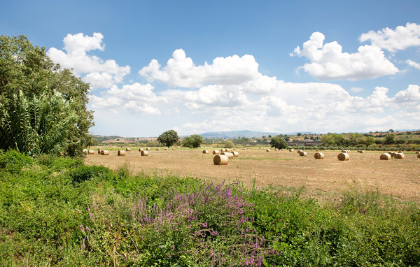 Holiday Home - San Marco Argentano , Italy - IKK642 901
