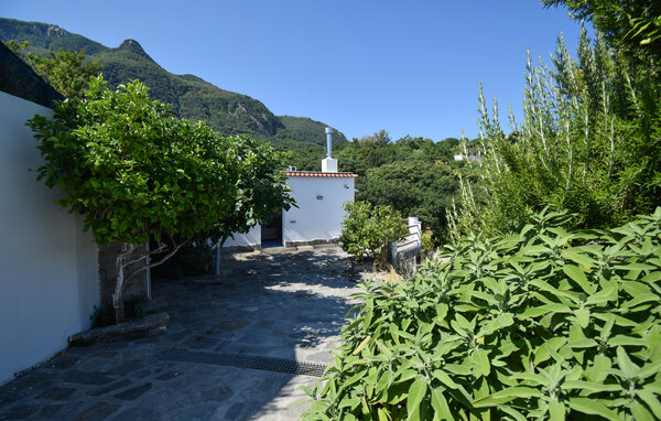 Semesterhus - Ischia , Italien - IKS021 81