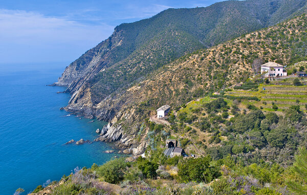 Lejlighed - Ne , Italien - ILL087 1