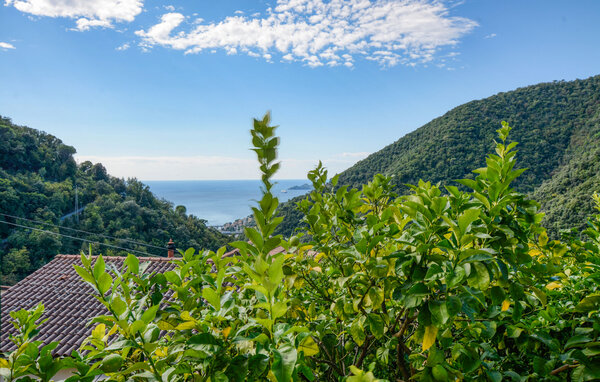 Semesterlägenhet - Semorile , Italien - ILL360 201