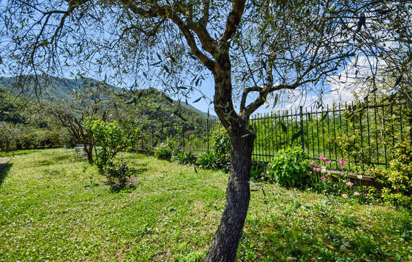 Domy wakacyjne - Pianezza , Wlochy - ILL451 105