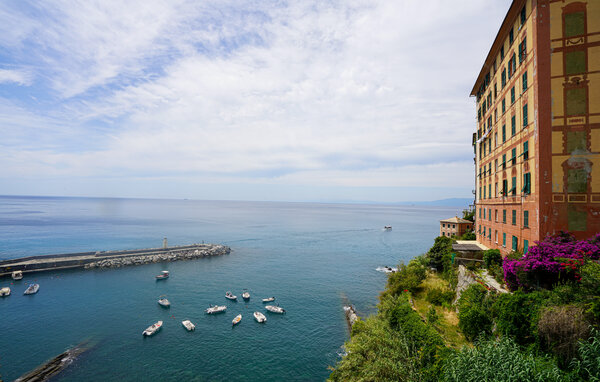 Appartamento - Camogli , Italia - ILL477 2