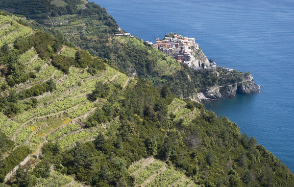 Semesterlägenhet - Cinque Terre - S.Stefano Magra , Italien - ILL565 904