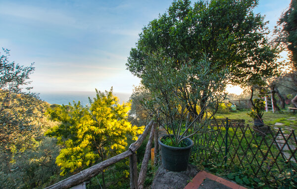 Casa vacanze - Zoagli , Italia - ILL653 102